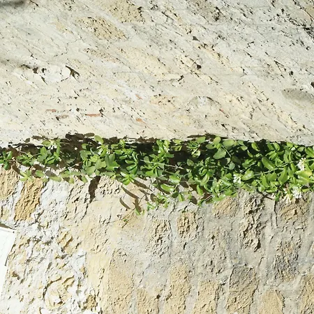 Bed & Breakfast Khalisah Palermo