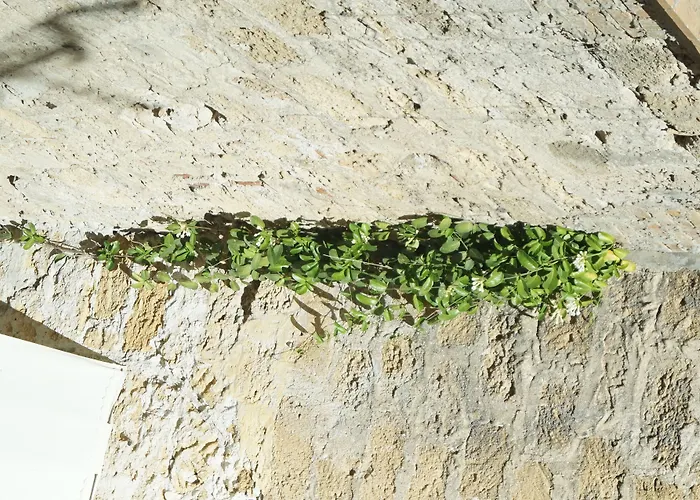 Bed & Breakfast Khalisah Palermo